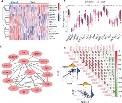 Identification of hub cuproptosis related genes and immune cell infiltration characteristics in periodontitis